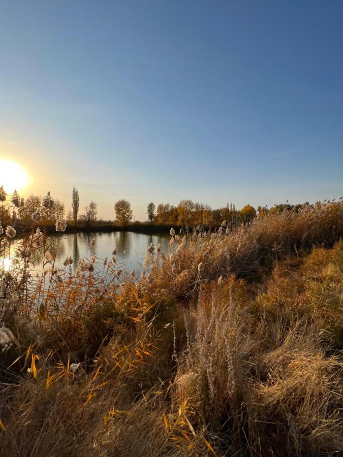 Чистые Пруды Bishkek Ngoại thất bức ảnh