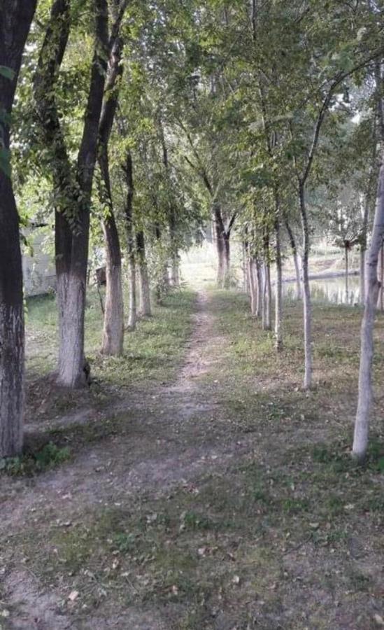 Чистые Пруды Bishkek Ngoại thất bức ảnh