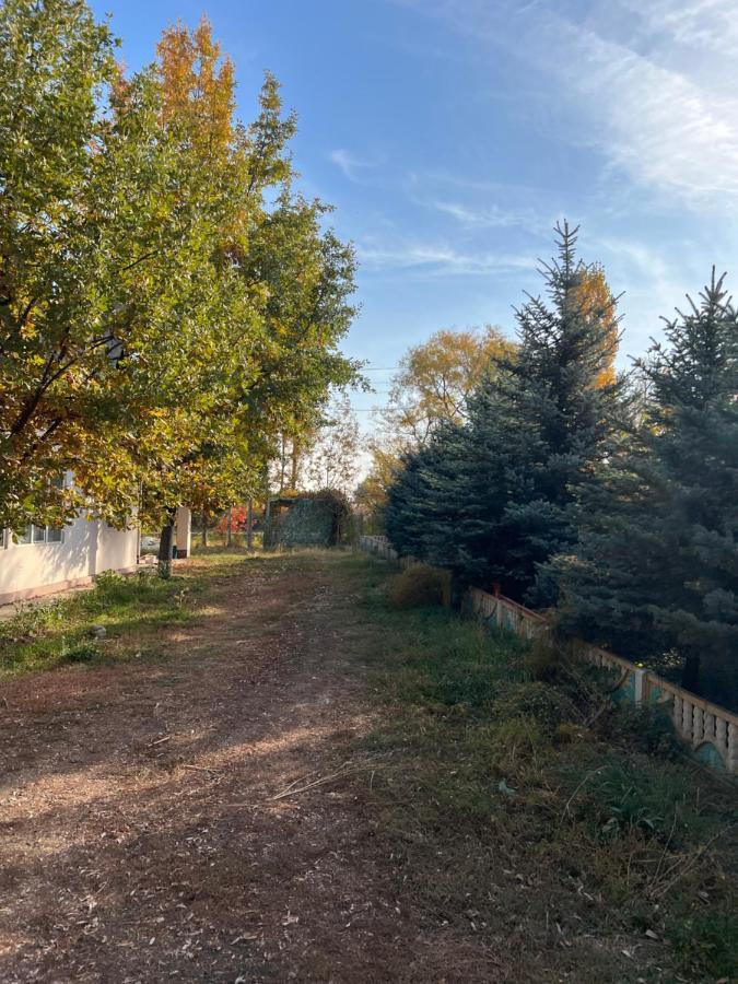 Чистые Пруды Bishkek Ngoại thất bức ảnh