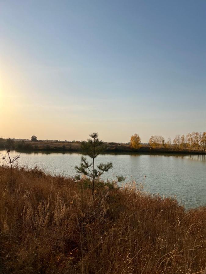 Чистые Пруды Bishkek Ngoại thất bức ảnh
